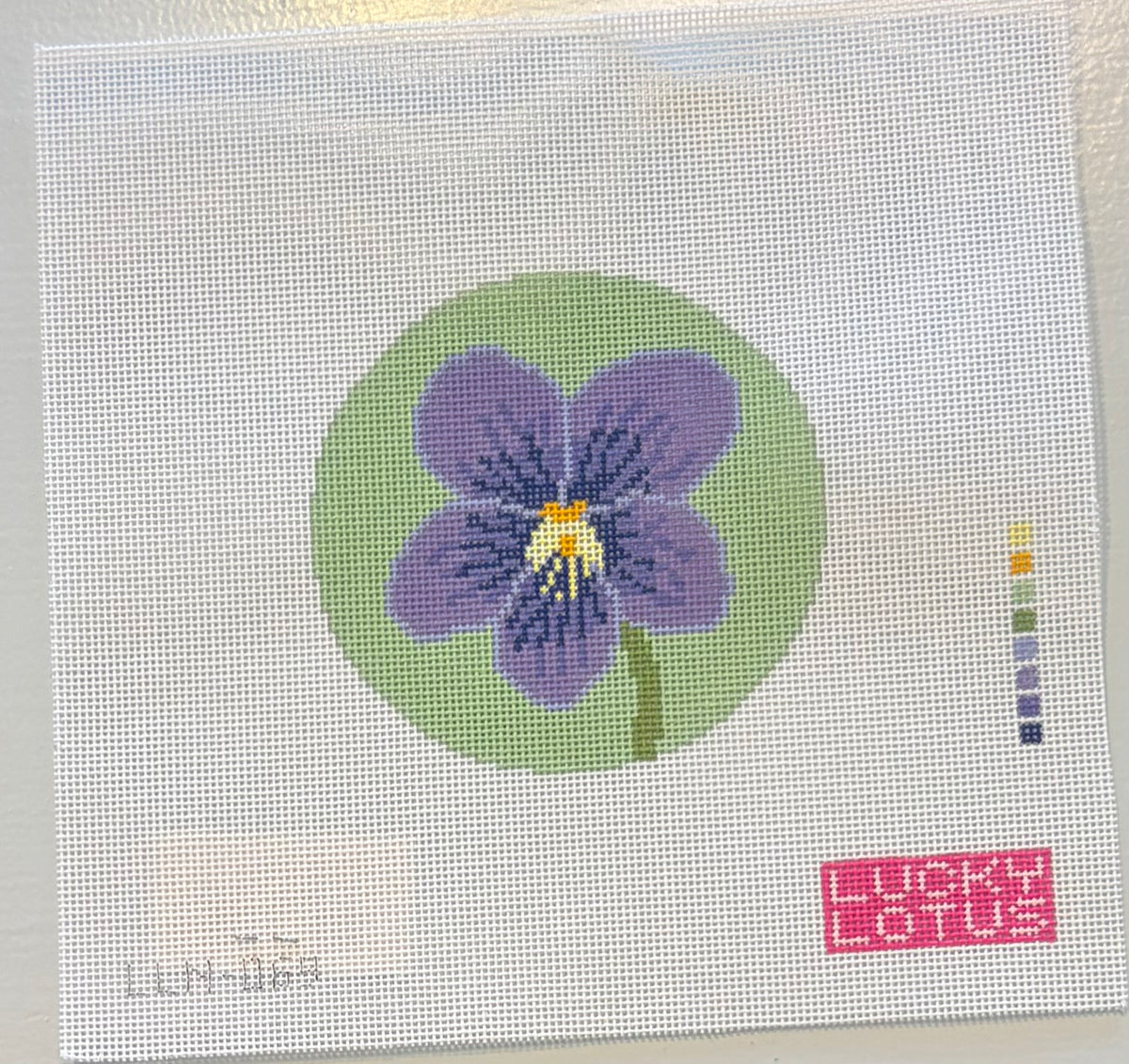 Violet Flowers of America