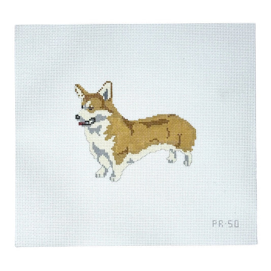 Pembroke Welsh Corgi