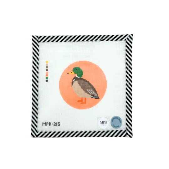 Mallard Duck