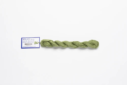 Milan 1703 Turtle