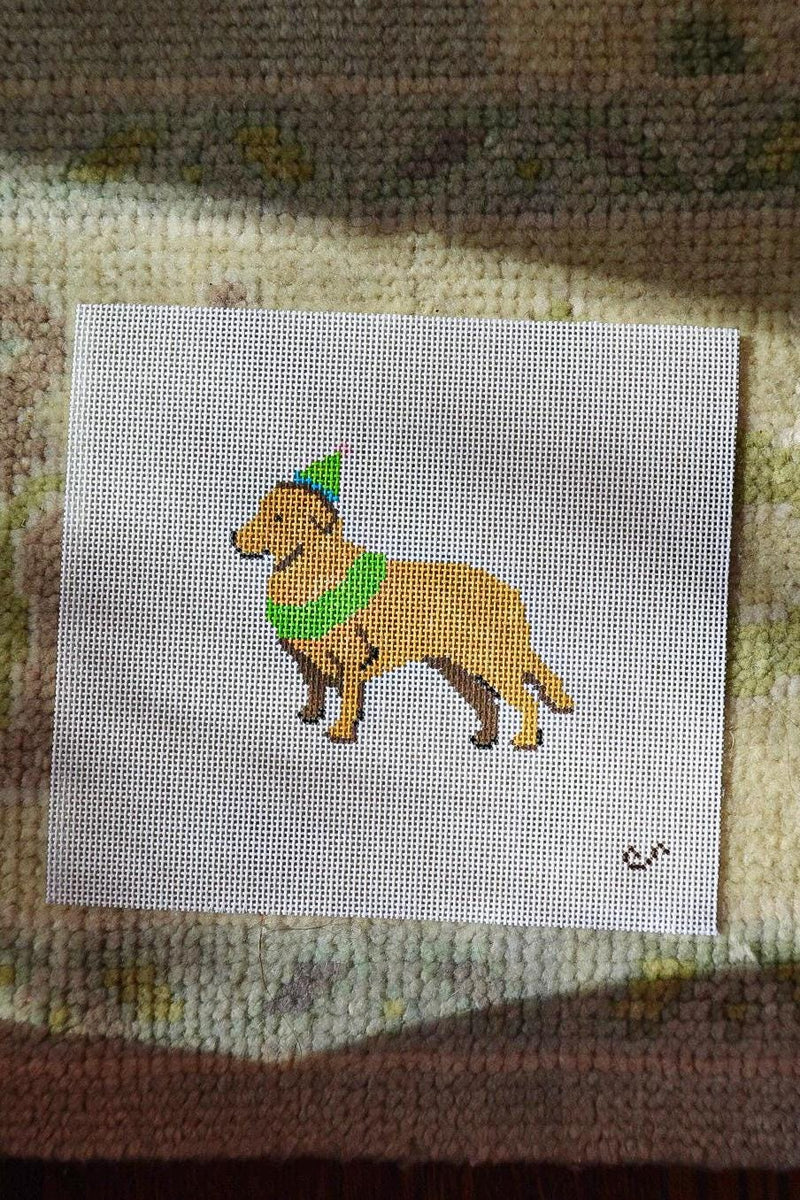 Party Animal Golden Retriever