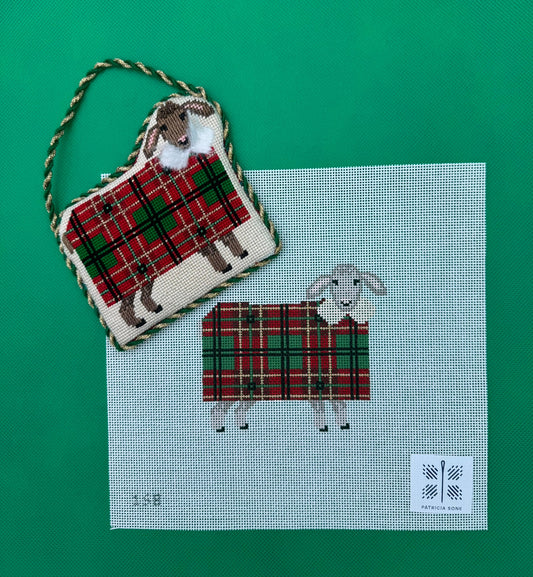 Sheep with Red Plaid