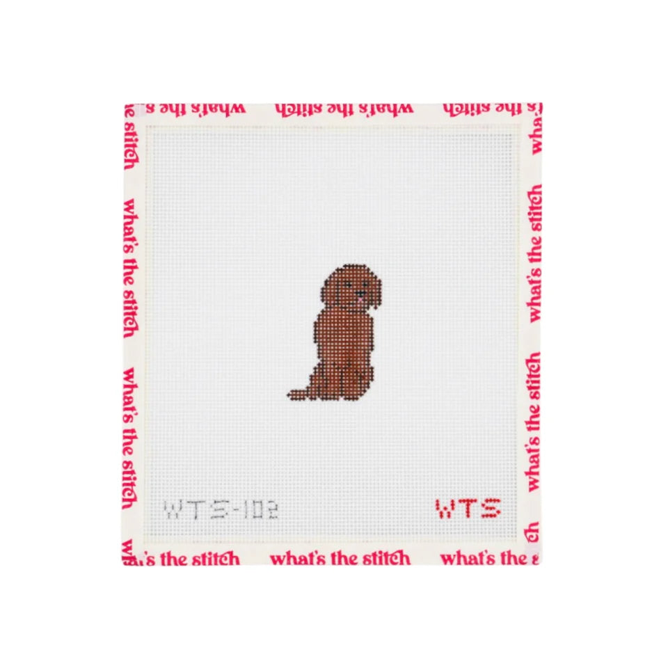 Mini Chocolate Lab