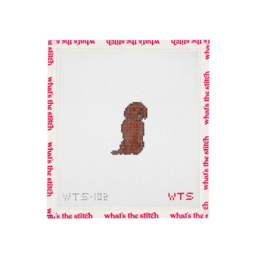Mini Chocolate Lab