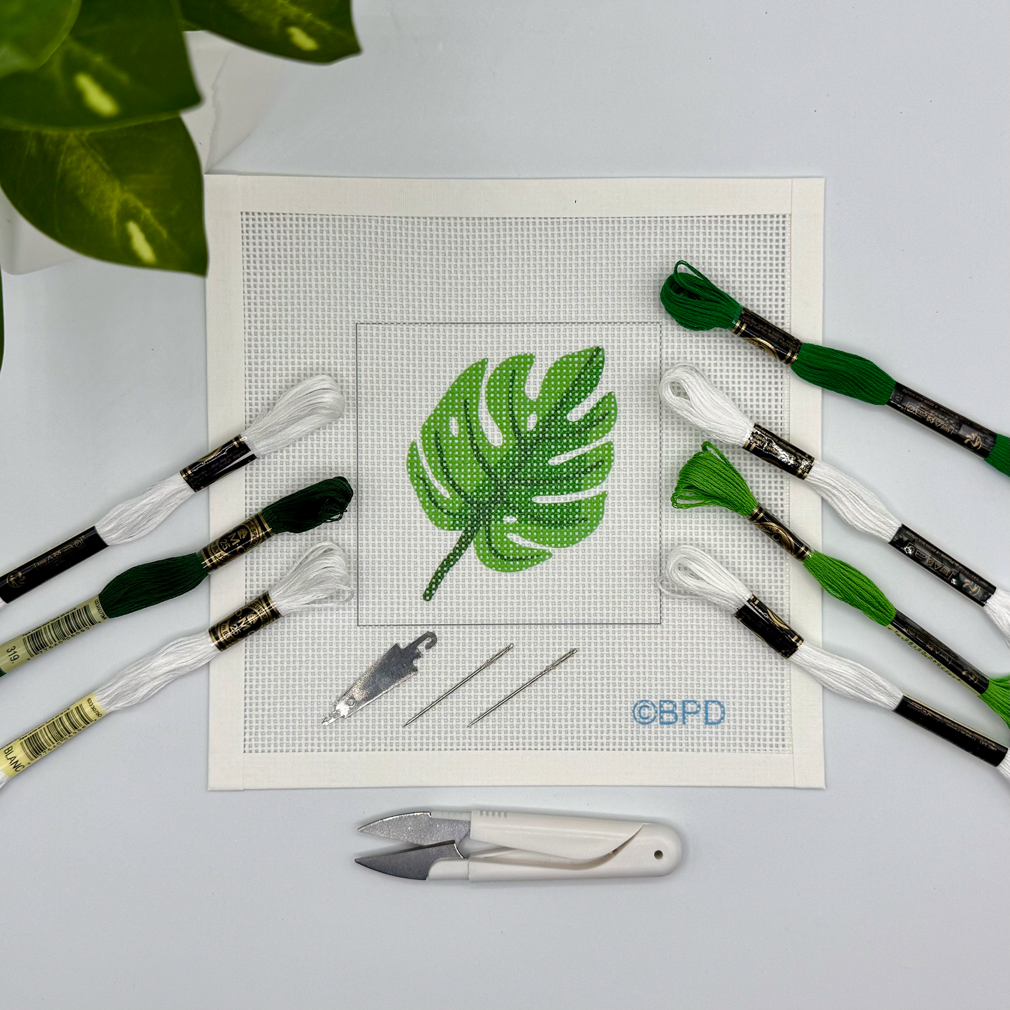 Monstera Leaf Needlepoint Kit