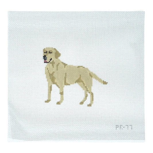Yellow Lab