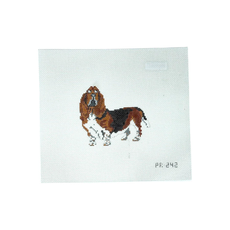 Bassett Hound