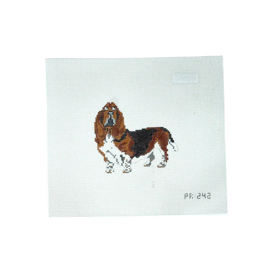 Bassett Hound