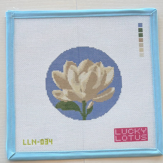 Magnolia Flowers of America