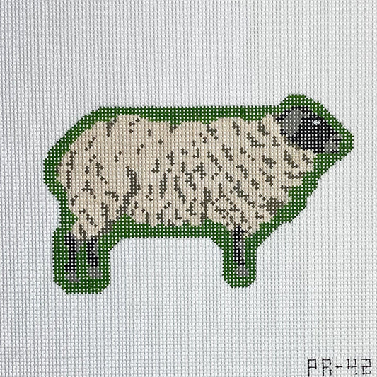 Suffolk Sheep