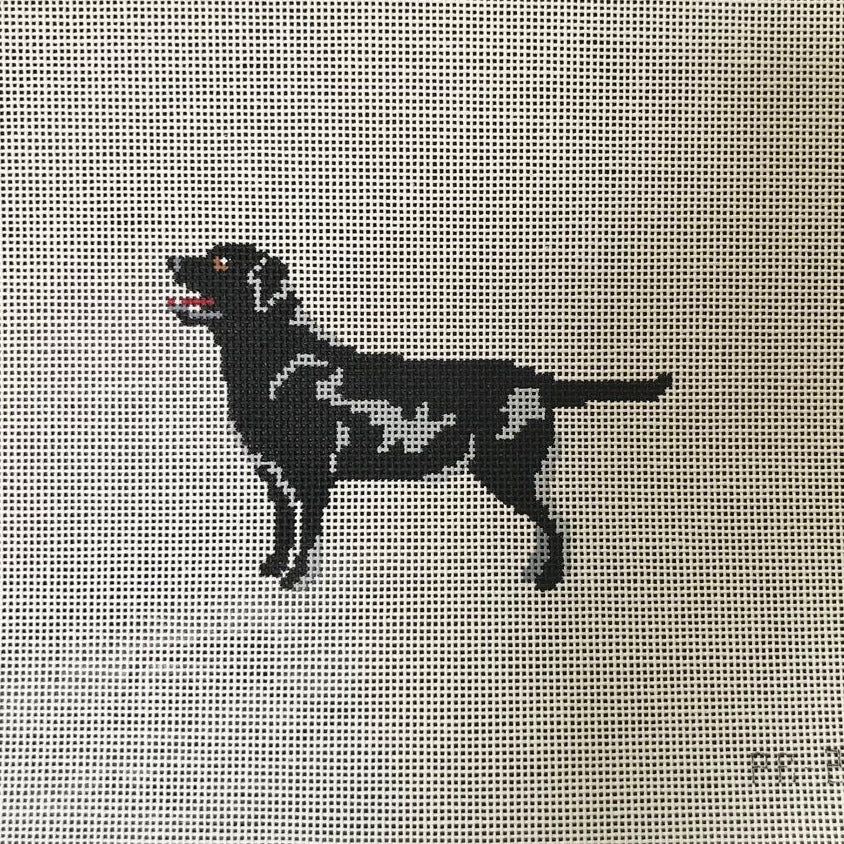 Quincy" Black Labrador