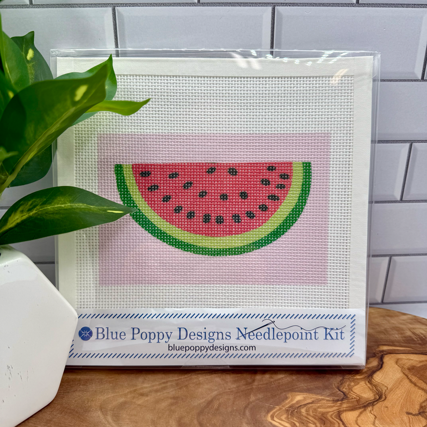 Watermelon Needlepoint Design
