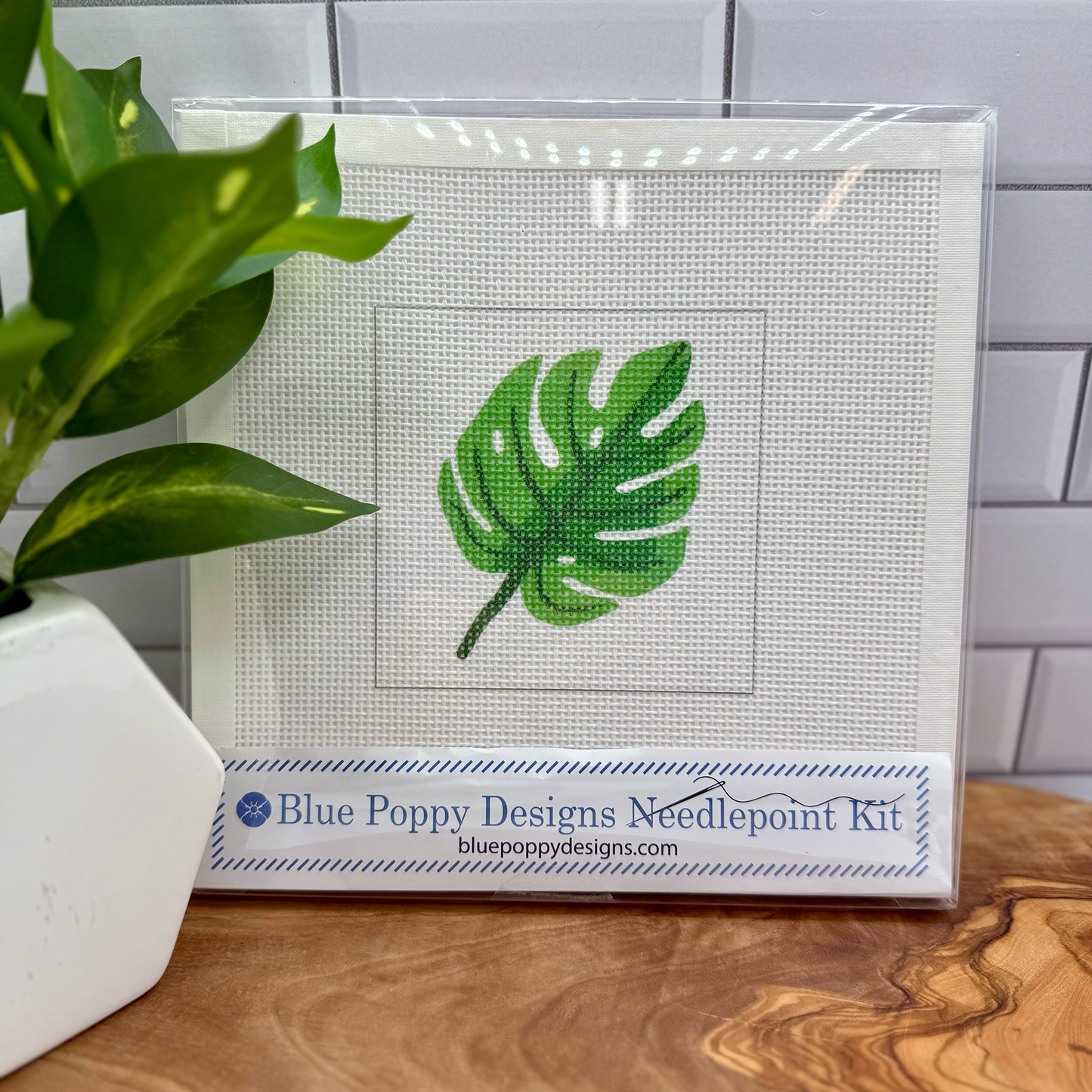 Monstera Leaf Needlepoint Kit