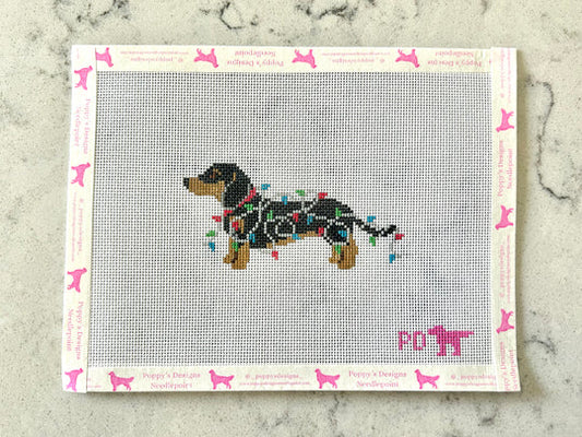Dachshund Wrapped in Lights