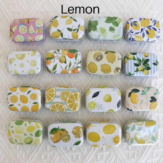 Small Magnetic Needle Case