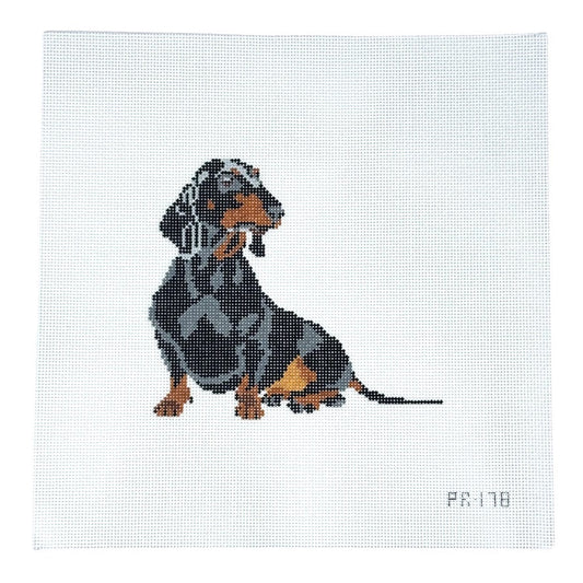 Gretel the Dachshund