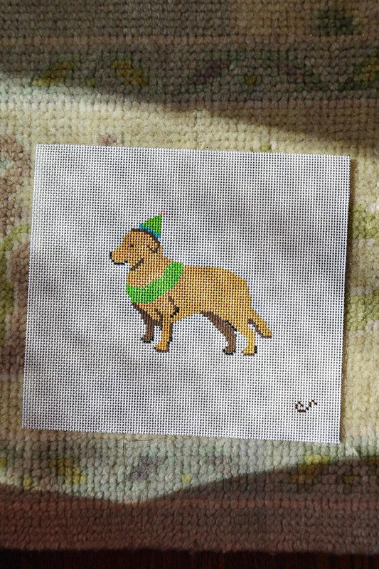 Party Animal Golden Retriever